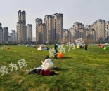 颍东打造面积约5万平方米“岳家湖露营地”!欢迎阜阳市民休闲打卡