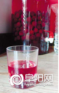 杯子杨梅酒.png